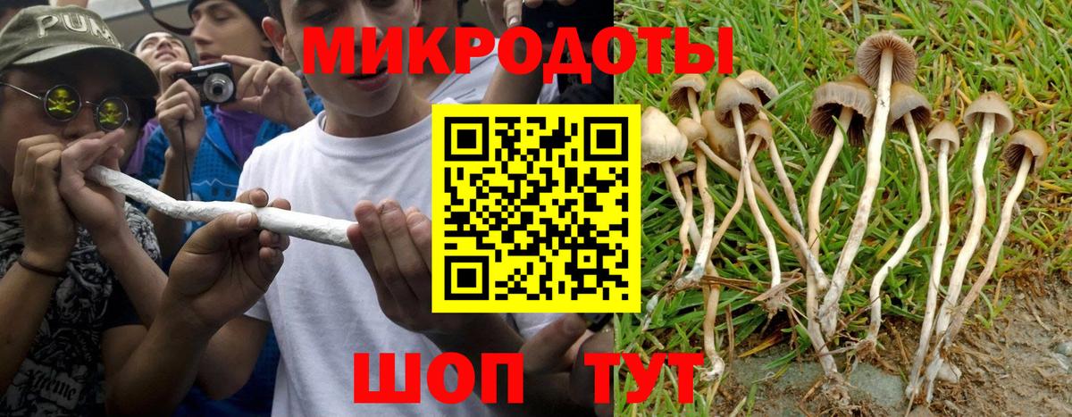 Псилоцибиновые грибы GOLDEN TEACHER  Псилоцибиновые грибы мицелий  Вход с VPN  Холмск 