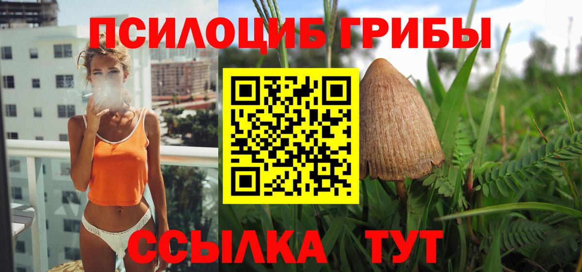 Псилоцибиновые грибы Psilocybine cubensis Холмск